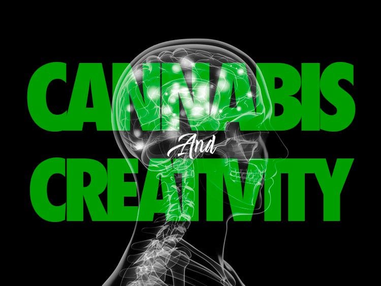 Cannabis and Creativity: A Muse or a Myth?