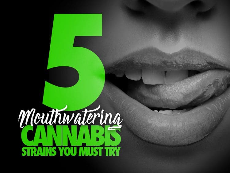 Mouthwatering Cannabis Strains to Try