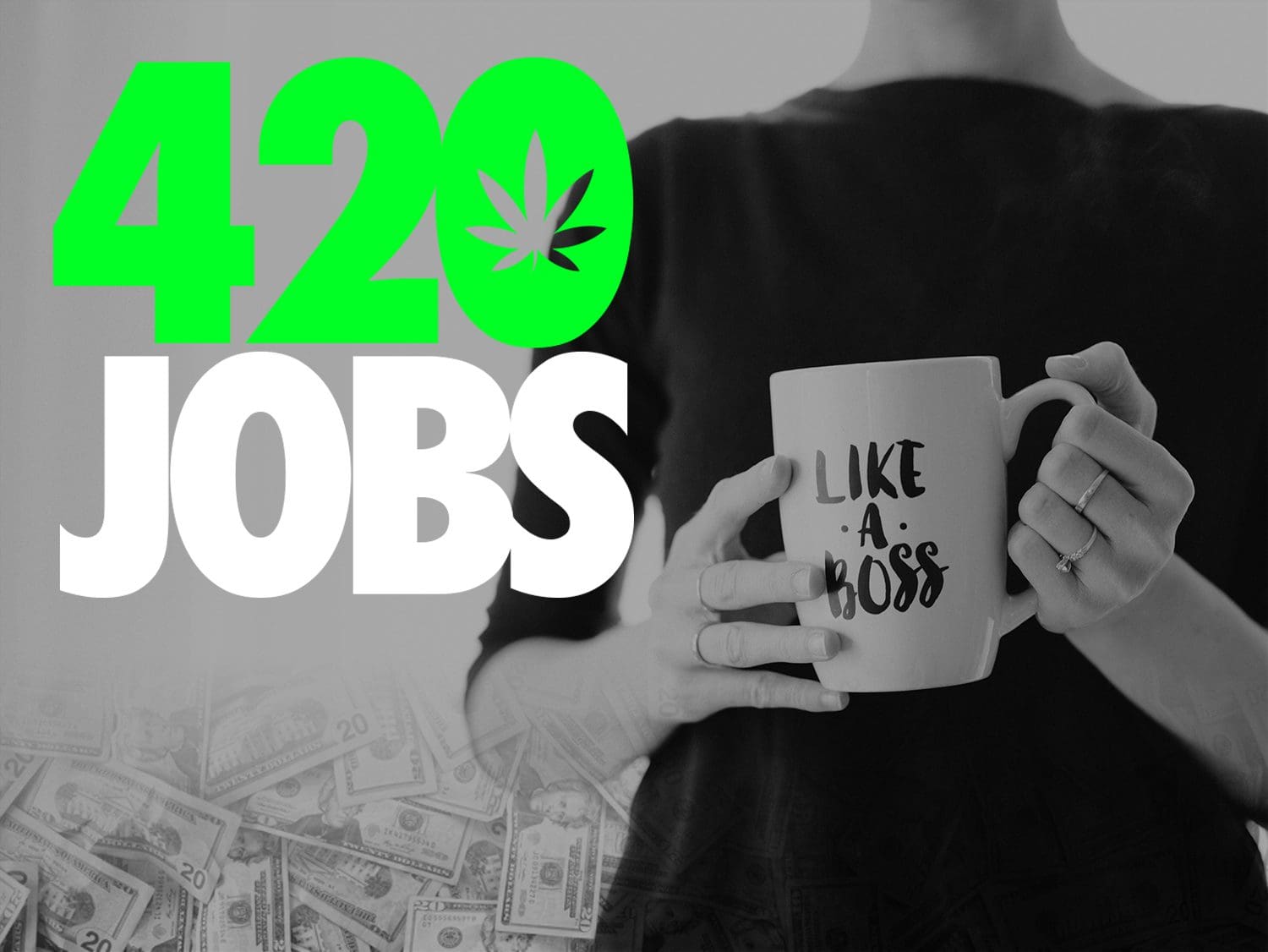 Cannabis Industry Jobs