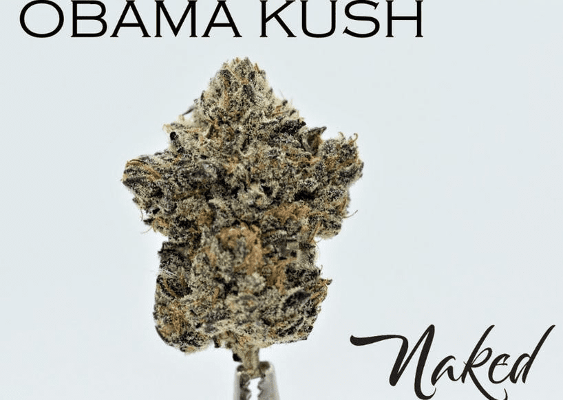 Obama Kush by Naked