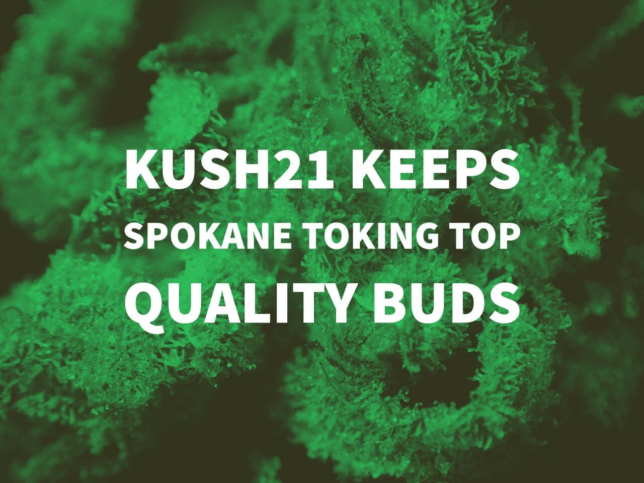 Kush21 In Spokane Washington