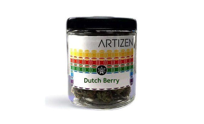 Dutchberry-150 DUTCH BERRY STRAIN: AMSTERDAM MEETS BLISSFUL BERRY