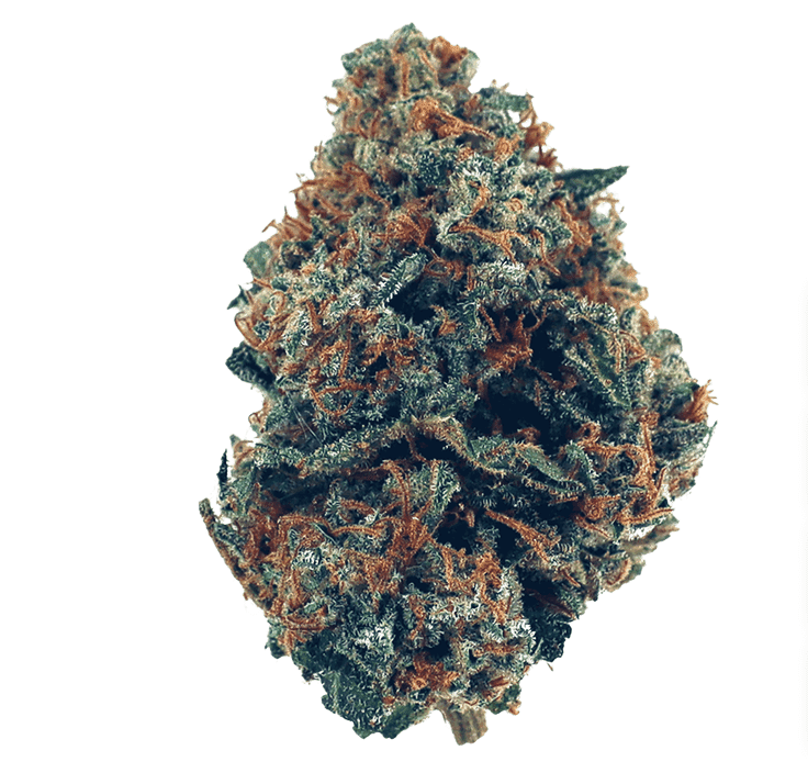 zkittles strain feature