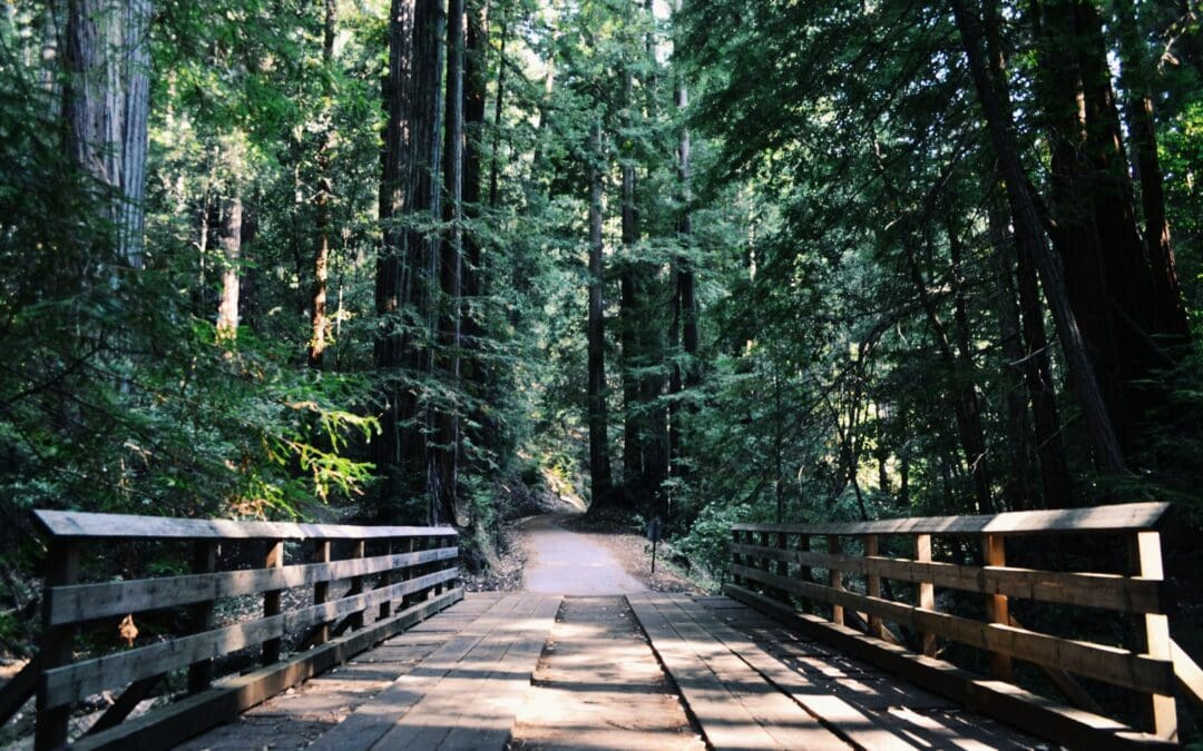 Pullman Loyalty Program