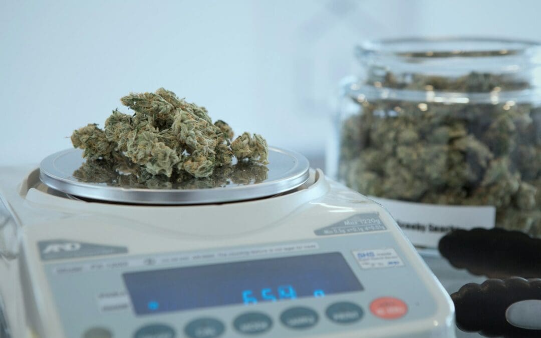 Doobie Newbie? A Beginner’s Guide to Marijuana