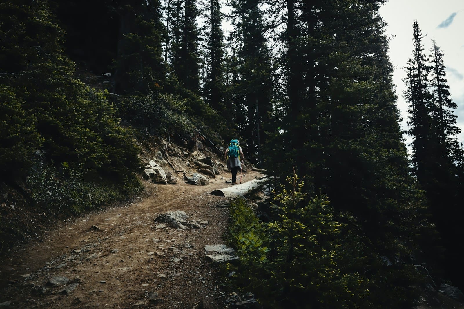man in green shirt walking on dirt road between green trees during daytime. Responsible cannabis use can enhance your hiking experience